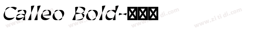 Calleo Bold字体转换
